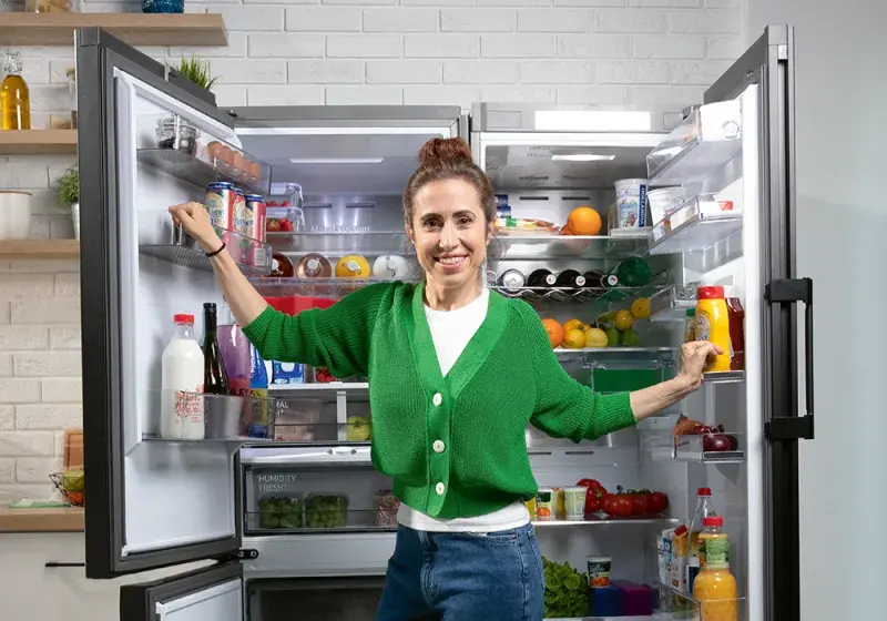 Modulové zařízení domácnosti — lednička