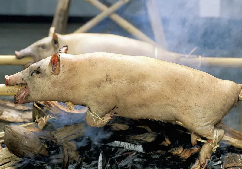 Grilované selátko na Bali