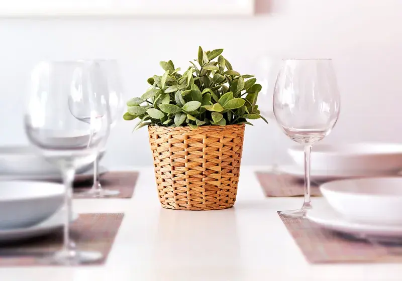 Aditiva do myčky pro lesk