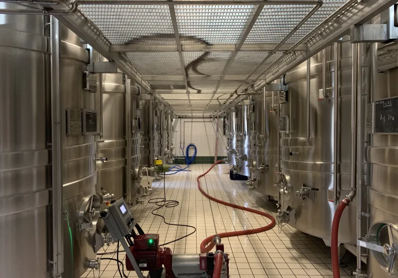 První kvašení probíhá v nerezových kádích