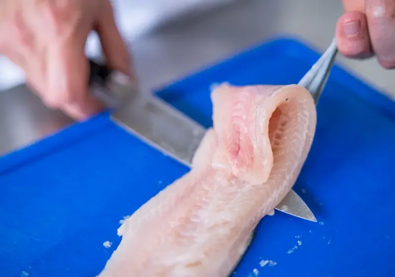 filetování ryby