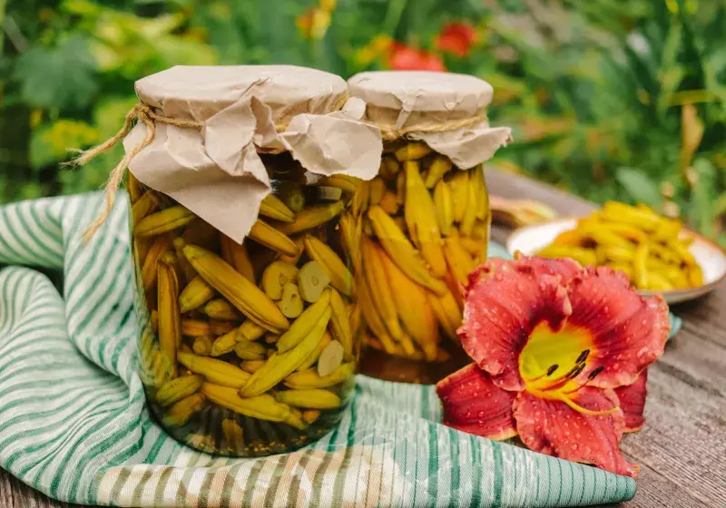 Naložená poupata denivek na kyselo