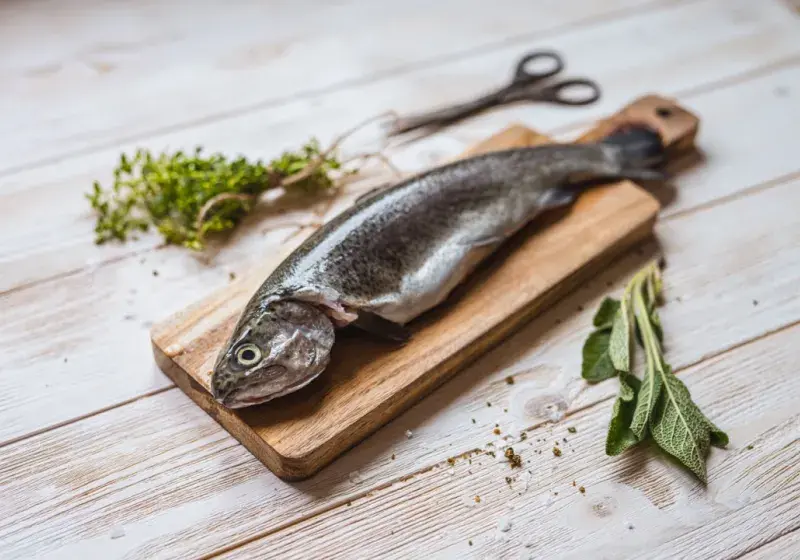Jak grilovat ryby
