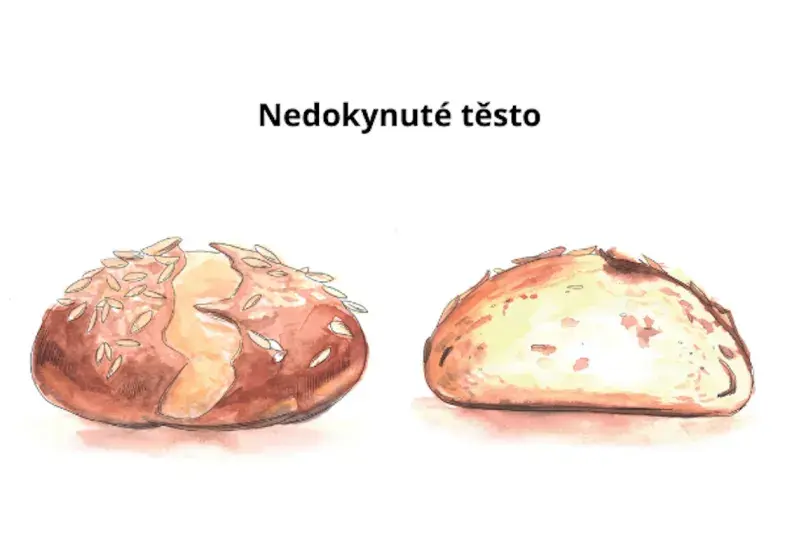 Nedokynuté těsto