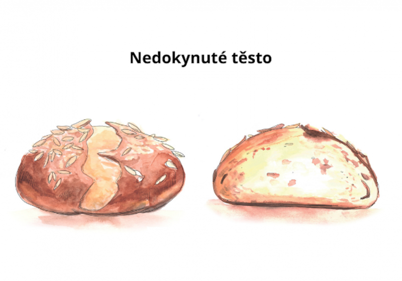 Nedokynuté těsto Nedokynuté těsto