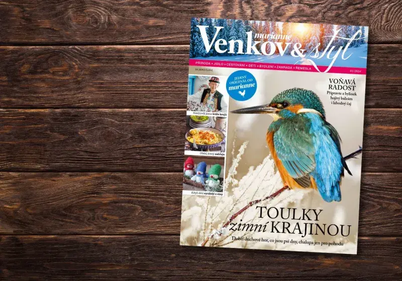 Marianne Venkov & styl