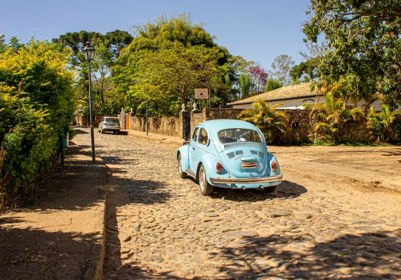 Auto u olivového háje