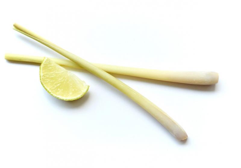 Citronová tráva Citronová tráva